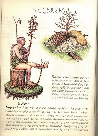 Codex Seraphinianus pagina 4