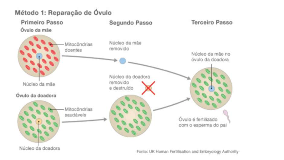 parge3