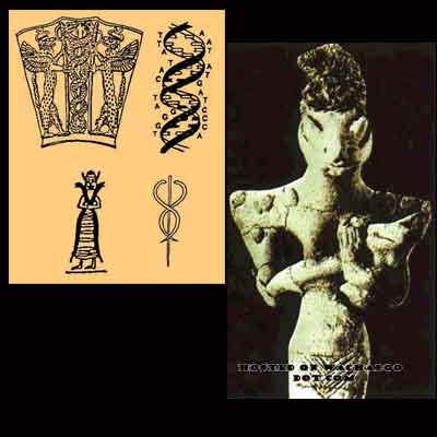 reptil caduceu anunnaki