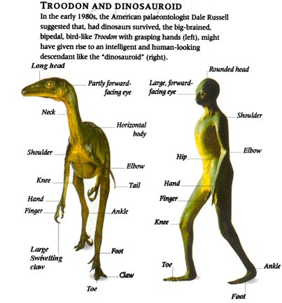 reptil troodondin
