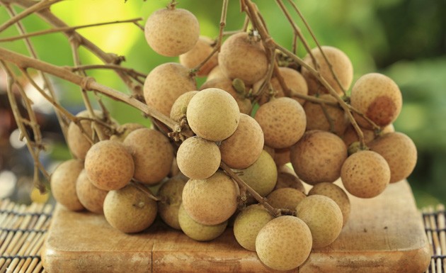 Longan