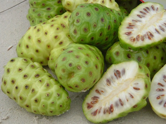 04 noni