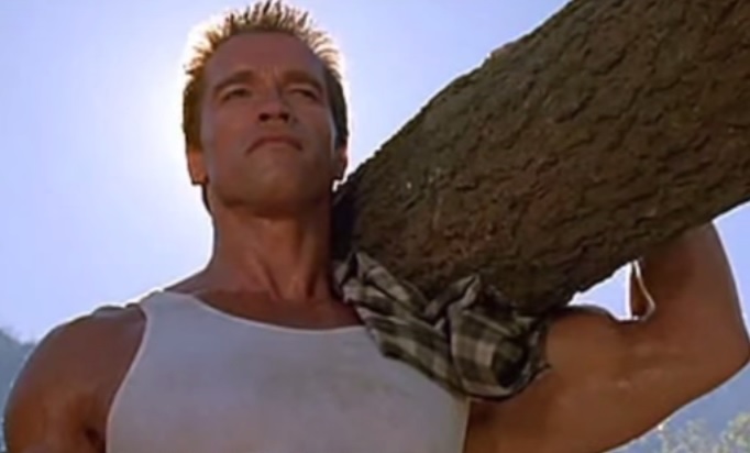 arnold2