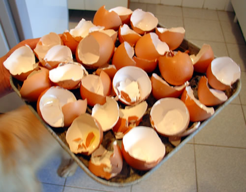 ovot topo