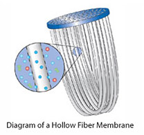 filmun1