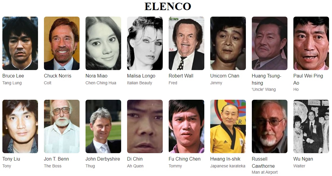 O voo do dragao elenco