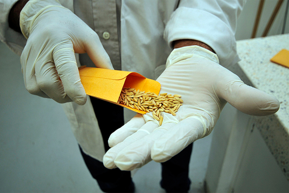 biopir2