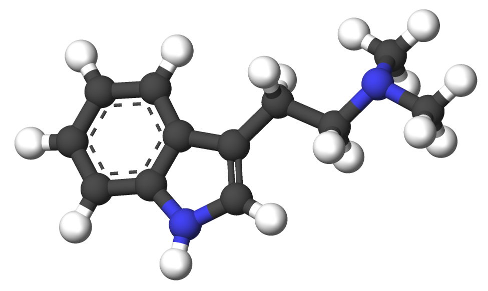 dimetil1