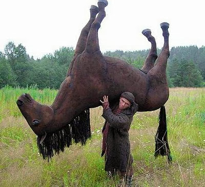 1dcavalo