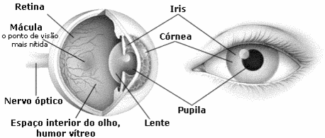 olhocir3