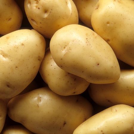 batata topo