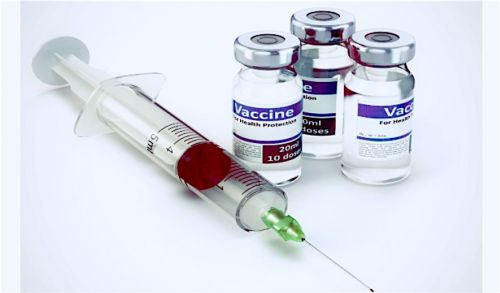 vanicor1