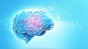 cognit1