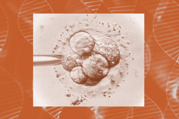 geneedi1