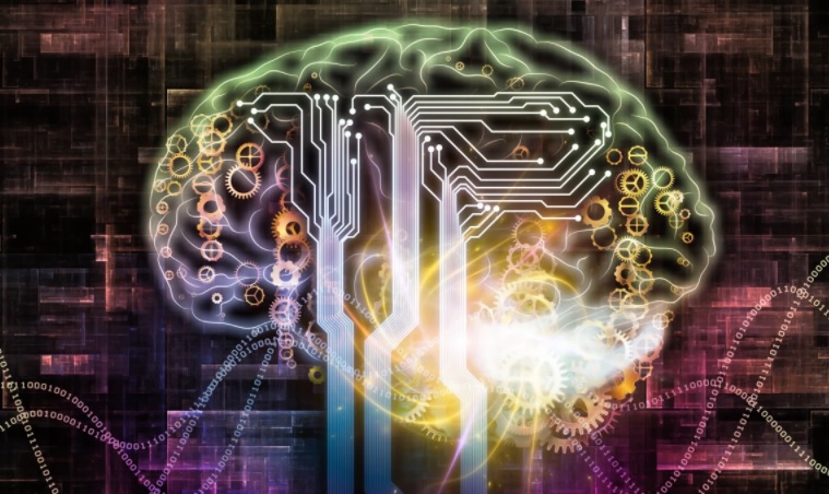 neurok1