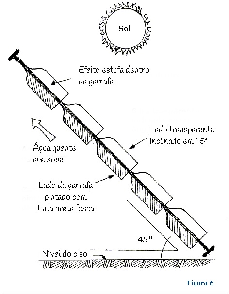 petsola6