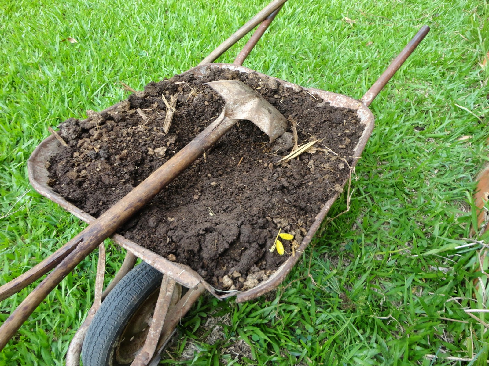 fertilizpesti2