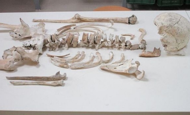 genomapompeia1