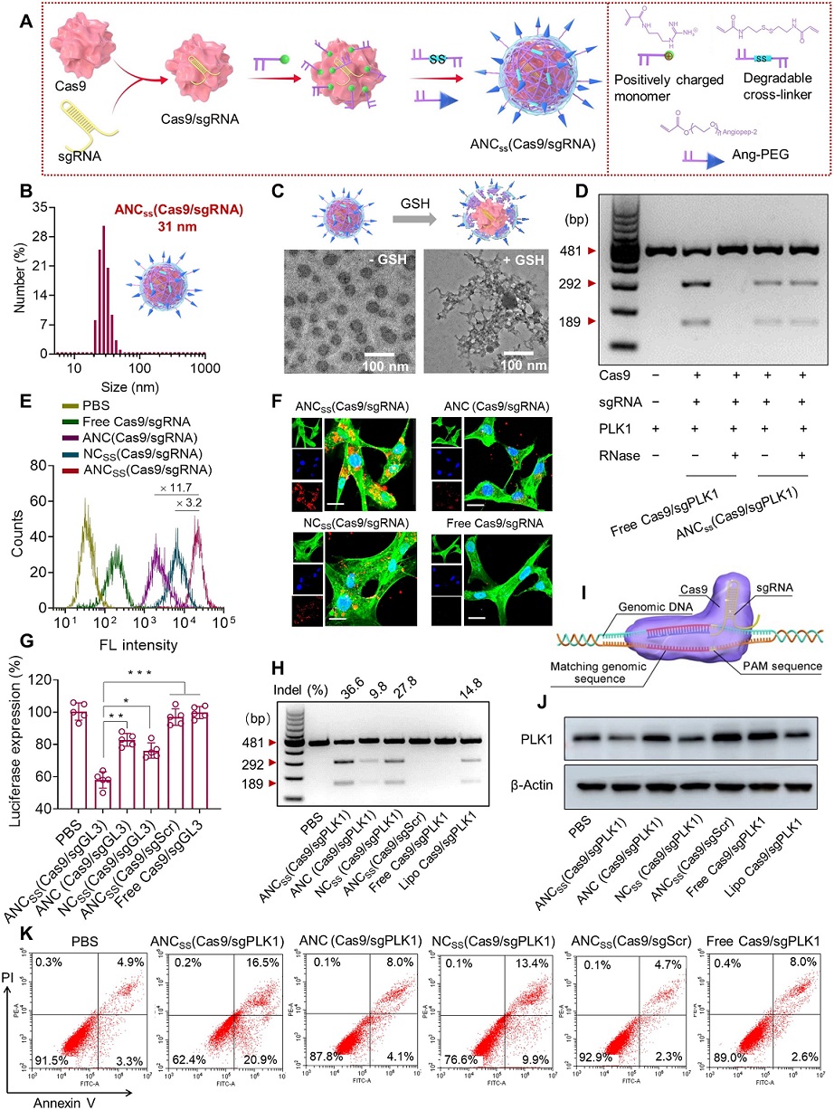 nanocap2