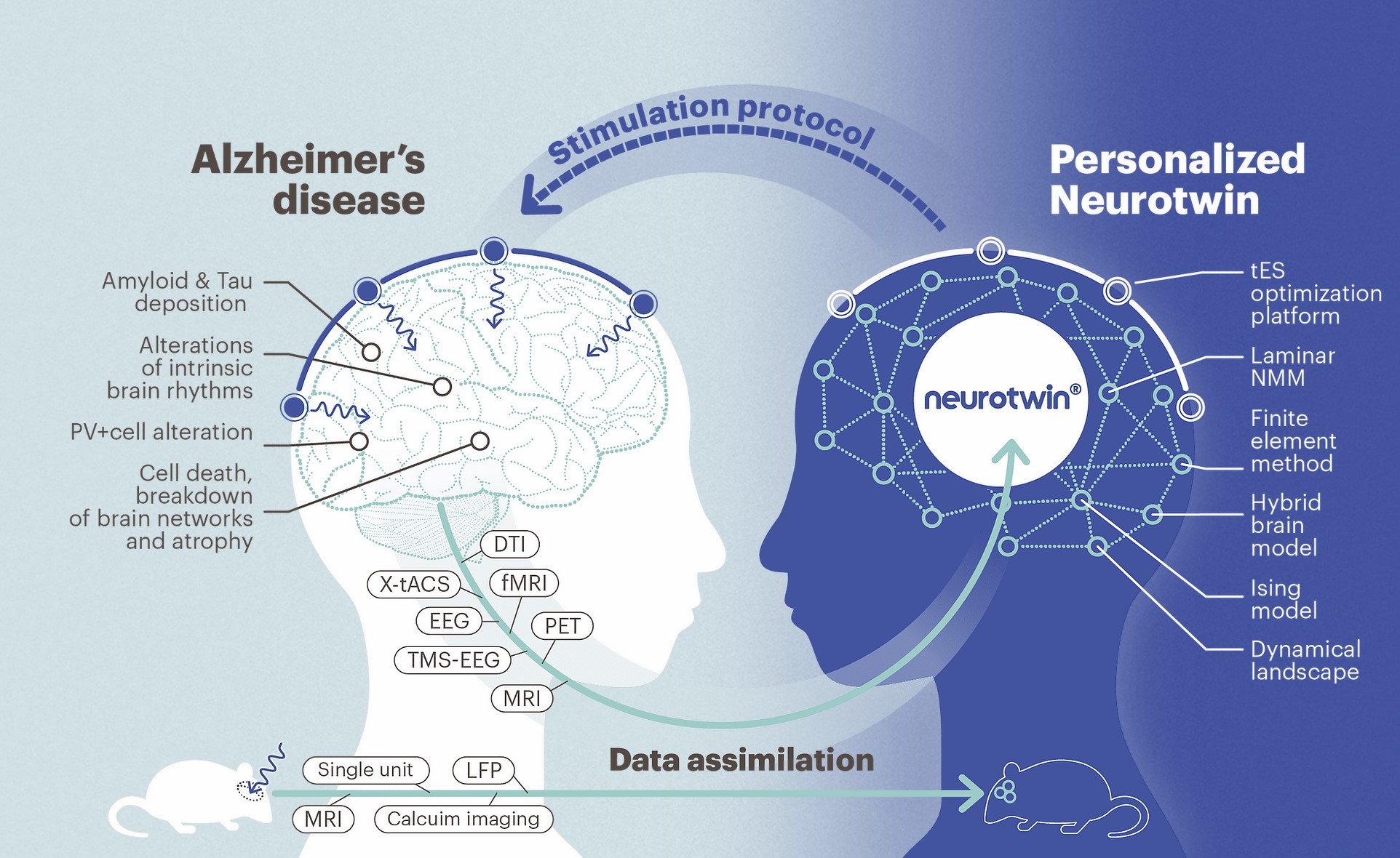 neurotwin1