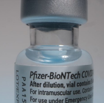 pfizer95 topo