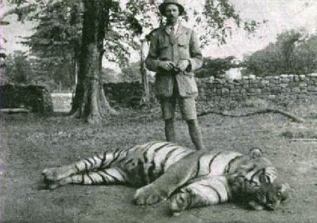 tigresamata1