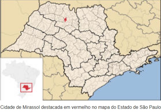 Caso mirassol local