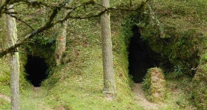 cavbygre1