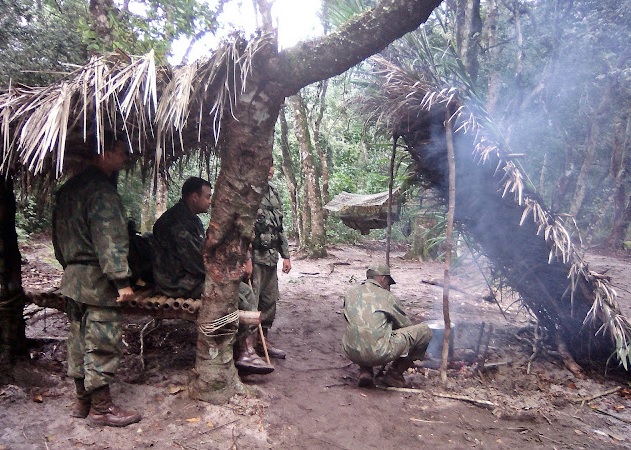 sobreselva3