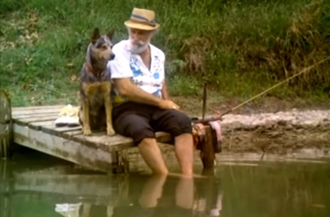 Piranha (1978) cena 2