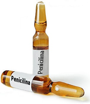 penicilina1