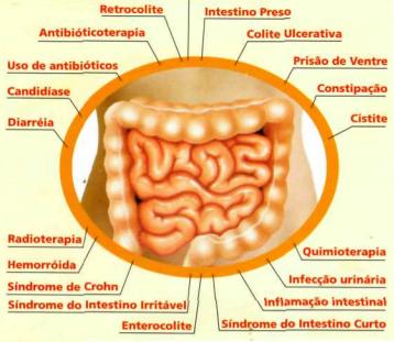 probiotico2