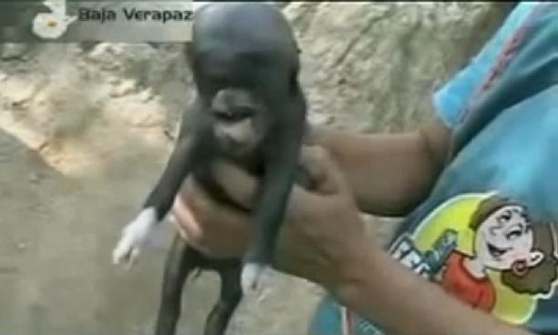 guatemala2