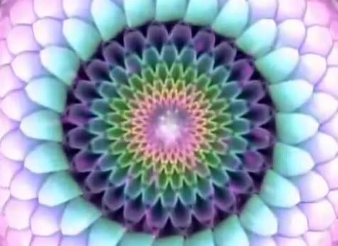 ci79a