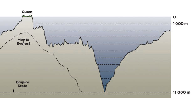 mariana1