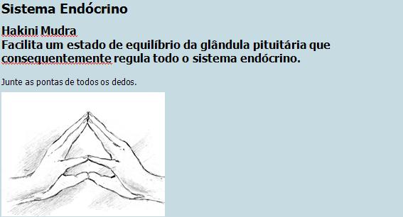 mudra_sistema_endocrino