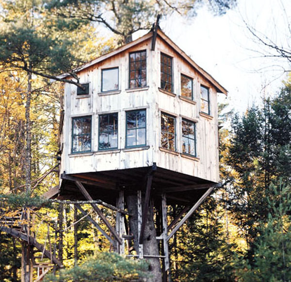 A casa na árvore de Peter Lewis