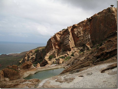 socotra10
