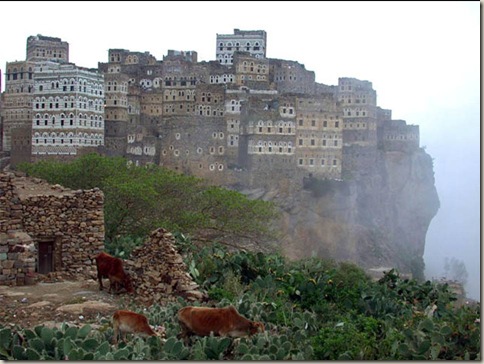 socotra13