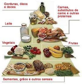 alimentos1