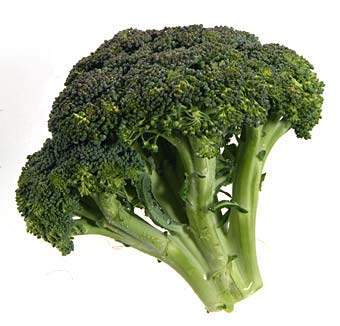 broc