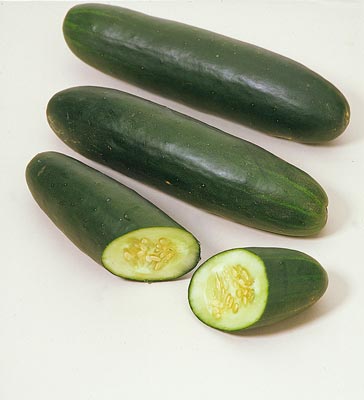 Pepino