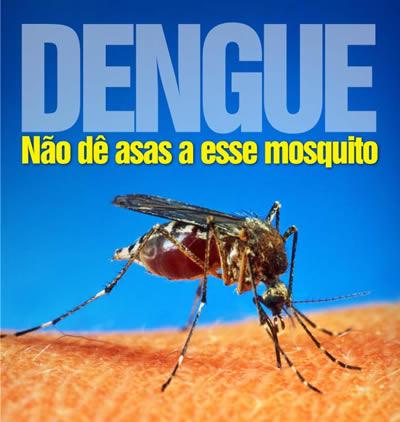 dengueasas