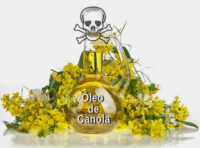 canola10