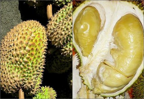 durian