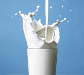 lactose1a