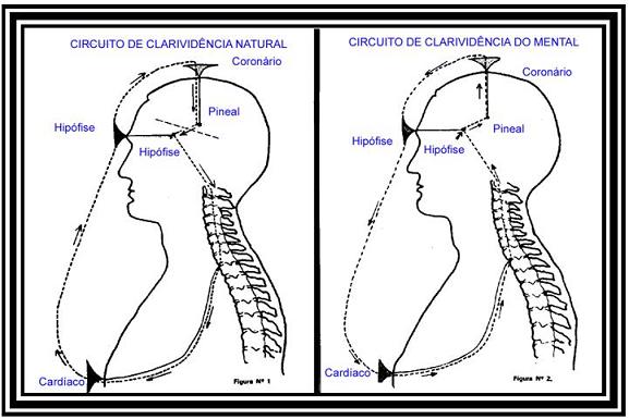 clarividencia_circuito