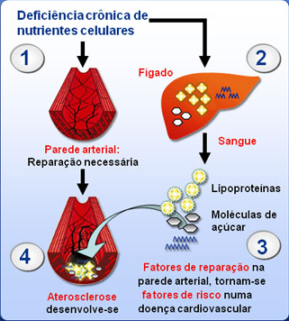 arteblo7