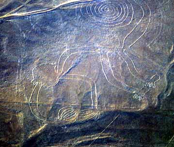 nazca4