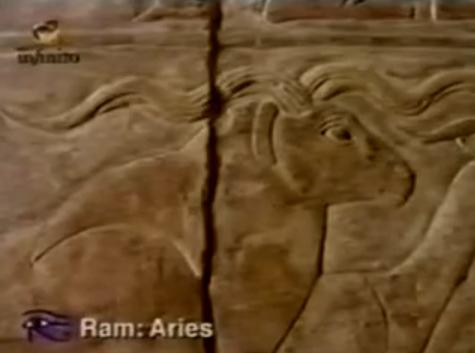 ram_aries